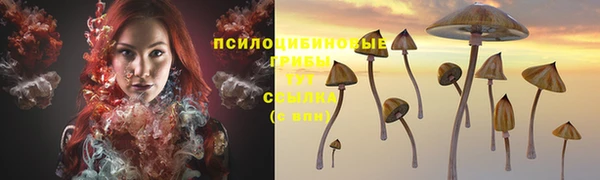 мяу мяу кристалл Горняк